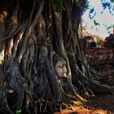 Wat Mahathat or the Monastery of the Great Relic