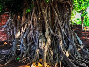 Ayutthaya Thailand